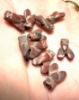 Picture of LOT OF 10 : ANCIENT EGYPT. NEW KINGDOM RED JASPER FLY AMULETS. 1400 B.C