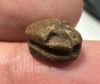 Picture of  ANCIENT EGYPT. NEW KINGDOM STONE SCARAB.  14 - 13th  CENTURY B.C
