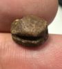 Picture of  ANCIENT EGYPT. NEW KINGDOM STONE SCARAB.  14 - 13th  CENTURY B.C