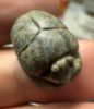 Picture of  ANCIENT EGYPT. NEW KINGDOM STONE SCARAB.  14 - 13th  CENTURY B.C