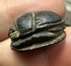 Picture of  ANCIENT EGYPT. NEW KINGDOM STONE SCARAB WITH THE NAME OF QUEEN HATSHEPSUT.  14 - 13th  CENTURY B.C