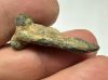 Picture of  Ancient Levant. Roman Bronze Phallic Amulet . 200 - 300 A.D