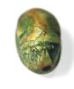 Picture of   Ancient Egypt. Stone Scarab Second Intermediate Period . 1700 - 1500  B.C