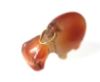 Picture of ANCIENT EGYPT. CARNELIAN HIPPOPOTAMUS WITH THE ORIGINAL ANCIENT GOLD RING ATTACHED. 1250 B.C. NEW KINGDOM