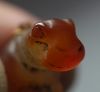 Picture of ANCIENT EGYPT. CARNELIAN HIPPOPOTAMUS WITH THE ORIGINAL ANCIENT GOLD RING ATTACHED. 1250 B.C. NEW KINGDOM