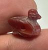 Picture of ANCIENT EGYPT. 26TH DYNASTY. BEAUTIFUL CARNELIAN DUCK AMULET . 600 - 300 B.C
