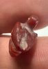 Picture of ANCIENT EGYPT. 26TH DYNASTY. BEAUTIFUL CARNELIAN DUCK AMULET . 600 - 300 B.C