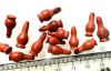 Picture of ANCIENT EGYPT. NEW KINGDOM RARE RED JASPER POPPY SEED AMULETS. LOT OF 14 . 1400 B.C