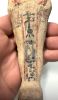Picture of ANCIENT EGYPT. 19TH DYNASTY. NEW KINGDOM. WOOD USHABTI.  1292–1191 B.C  BEAUTIFUL QUALITY