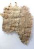 Picture of ANCIENT EGYPT.  A PAPYRUS FRAGMENT. 1ST CENTURY B.C - 1ST CENTURY A.D . 