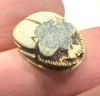 Picture of   Ancient Egypt. Stone Scarab. New Kingdom . 14th - 13TH Century B.C