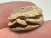 Picture of   Ancient Egypt. Stone Scarab. New Kingdom . 14th - 13TH Century B.C