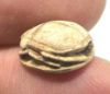 Picture of   Ancient Egypt. Stone Scarab. New Kingdom . 14th - 13TH Century B.C