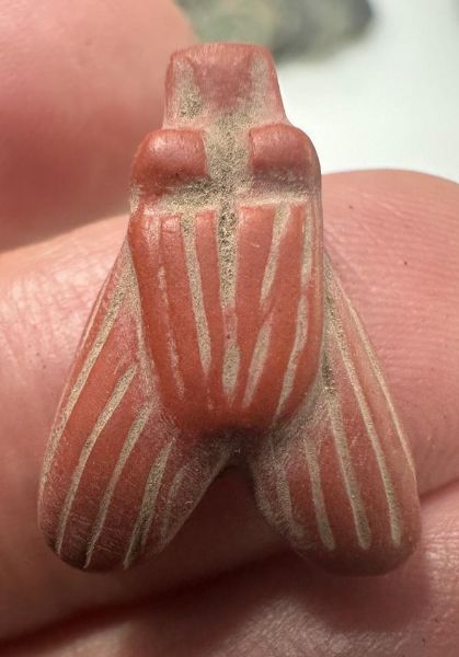 Picture of  Ancient Egypt. RED JASPER STONE FLY AMULET  . Ptolemaic Period. 