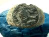 Picture of ANCIENT IRON AGE - ROMAN BRONZE RING (6 PCS)