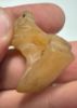 Picture of ANCIENT EGYPT. LATE PERIOD. HUGE STONE AMULET OF A FALCON. 600 - 300 B.C