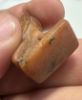 Picture of ANCIENT EGYPT. LATE PERIOD. HUGE STONE AMULET OF A FALCON. 600 - 300 B.C
