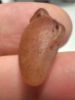 Picture of Ancient Egypt. CARNELIAN STONE HEART AMULET. 600 - 300 B.C