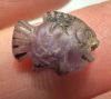 Picture of Ancient Egypt. Beautiful Amethyst Stone fish Amulet. late period. 600 - 300 B.C