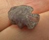 Picture of Ancient Egypt. Beautiful Amethyst Stone fish Amulet. late period. 600 - 300 B.C