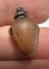 Picture of Ancient Egypt. CARNELIAN STONE HEART AMULET. 600 - 300 B.C