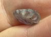 Picture of   Ancient Egypt. Beautiful Amethyst Stone fish Amulet. late period. 600 - 300 B.C