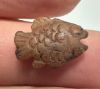 Picture of Ancient Egypt. Beautiful Carnelian Stone fish Amulet. late period. 600 - 300 B.C