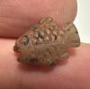 Picture of Ancient Egypt. Beautiful Carnelian Stone fish Amulet. late period. 600 - 300 B.C