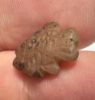 Picture of Ancient Egypt. Beautiful Carnelian Stone fish Amulet. late period. 600 - 300 B.C