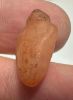 Picture of   Ancient Egypt. CARNELIAN STONE HEART AMULET. 600 - 300 B.C