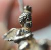 Picture of ANCIENT ROMAN. SILVER EARRINGS (2 PCS). EROS RIDING DOVES. 300 - 400 A.D