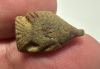 Picture of  ANCIENT EGYPT.  A  FAIENCE SCARABOID IN THE SHAPE OF A FISH  1400 - 1200 B.C    . NEW KINGDOM