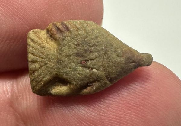 Picture of  ANCIENT EGYPT.  A  FAIENCE SCARABOID IN THE SHAPE OF A FISH  1400 - 1200 B.C    . NEW KINGDOM