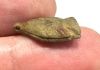 Picture of  ANCIENT EGYPT.  A  FAIENCE SCARABOID IN THE SHAPE OF A FISH  1400 - 1200 B.C    . NEW KINGDOM