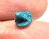 Picture of  ANCIENT EGYPT.  A  FAIENCE SCARABOID IN THE SHAPE OF A FROG  1400 B.C   . NEW KINGDOM