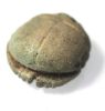 Picture of ANCIENT EGYPT. LARGE FAIENCE BUTTON SCARAB. 600 - 300 B.C
