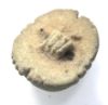 Picture of ANCIENT EGYPT. LARGE FAIENCE BUTTON SCARAB. 600 - 300 B.C