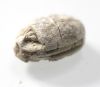 Picture of ANCIENT EGYPT. STONE SCARAB . NEW KINGDOM .  1400 - 1200 B.C