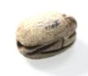 Picture of ANCIENT EGYPT.  STONE SCARAB . NEW KINGDOM .  1400 - 1200 B.C