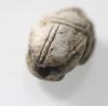 Picture of ANCIENT EGYPT.  STONE SCARAB . NEW KINGDOM .  1400 - 1200 B.C