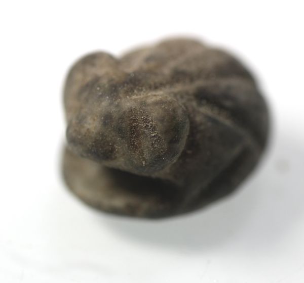 Picture of ANCIENT EGYPT.  STONE AMULET OF A FROG. LATE PERIOD 600 - 300 B.C