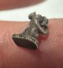 Picture of  Ancient Egypt.   Silver  Cat  . Ptolemaic Period. 3rd century B.C