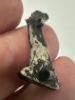 Picture of   Ancient Egypt.   Silver  eagle (Holrus)  . Ptolemaic Period. 3rd century B.C