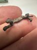 Picture of   Ancient Egypt.   Silver  PANTHER  . Ptolemaic Period. 3rd century B.C