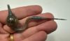 Picture of   Ancient  ROMAN PERIOD. 300  - 400  A.D.  COSMETIC GLASS VESSEL. UNIQUE 