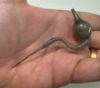 Picture of   Ancient  ROMAN PERIOD. 300  - 400  A.D.  COSMETIC GLASS VESSEL. UNIQUE 