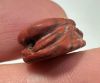 Picture of Ancient Egypt.  LATE PERIOD. 600 - 100 B.C.  RED JASPER SCARAB