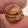 Picture of   Ancient Egypt.  LATE PERIOD. 600 - 100 B.C.  CARNELIAN STONE SCARAB