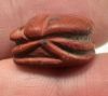 Picture of Ancient Egypt.  LATE PERIOD. 600 - 100 B.C.  RED JASPER SCARAB
