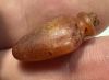 Picture of   Ancient Egypt. CARNELIAN STONE HEART AMULET. 600 - 300 B.C